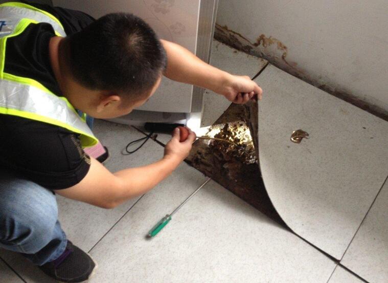 學(xué)校白蟻防治